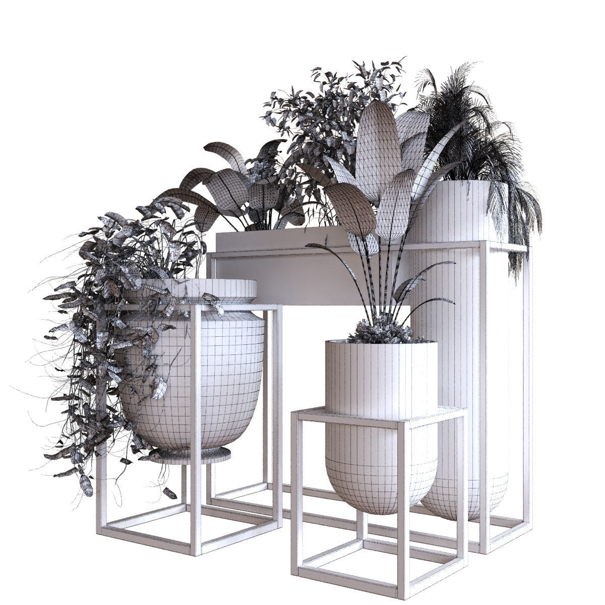 plant set 053 Low-poly 3D model_5