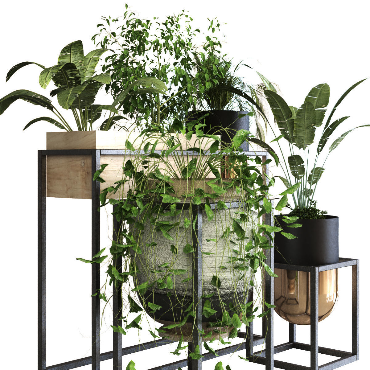 plant set 053 Low-poly 3D model_7