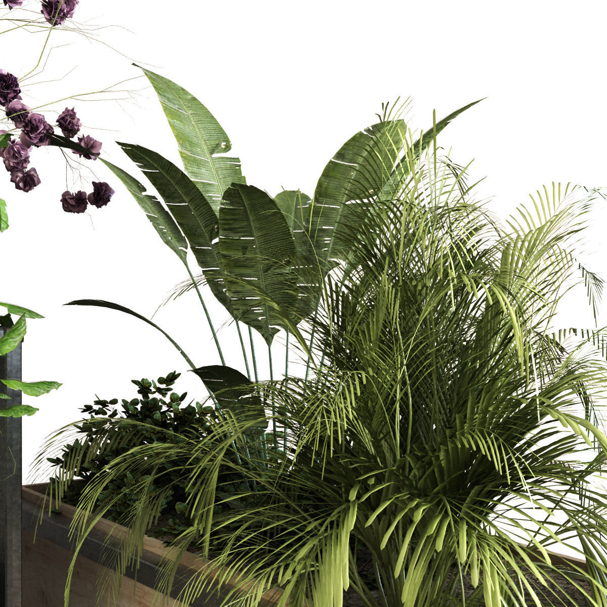 plant set 053 Low-poly 3D model_4