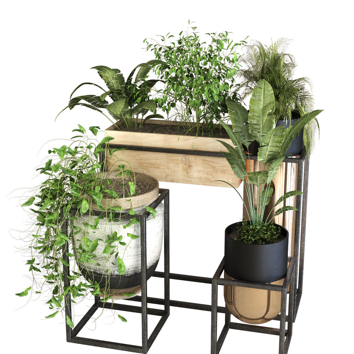 plant set 053 Low-poly 3D model_2