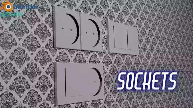 Sockets and switch