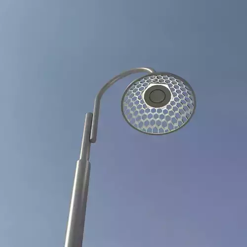 lilium light pole