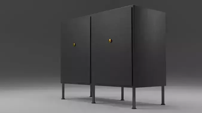 Cabinet with two doors