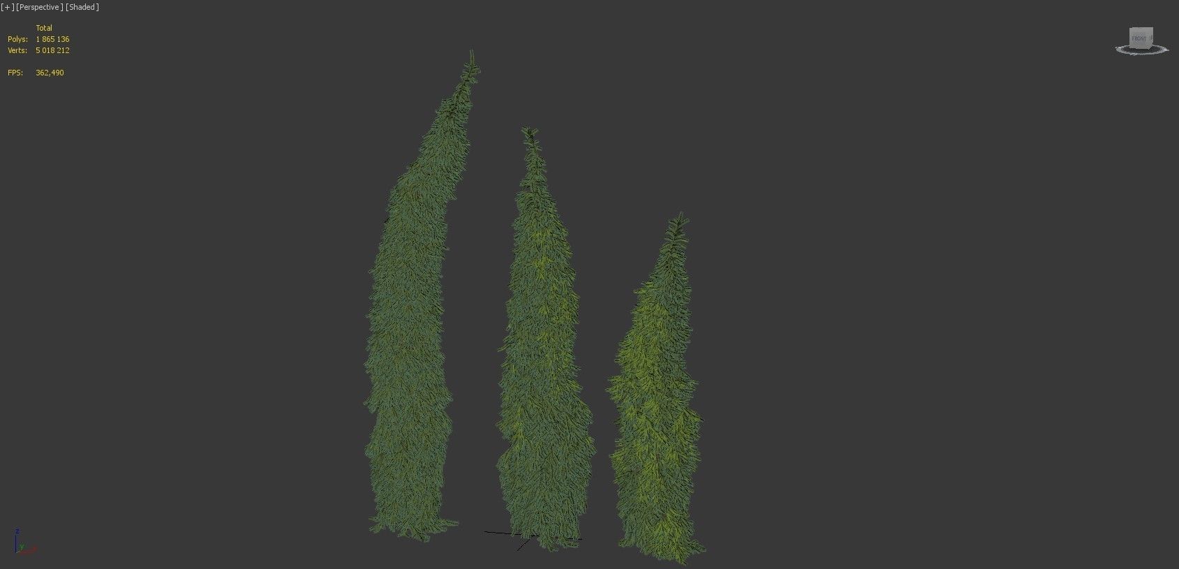 Picea Omorika Bruns 01 3D model_4