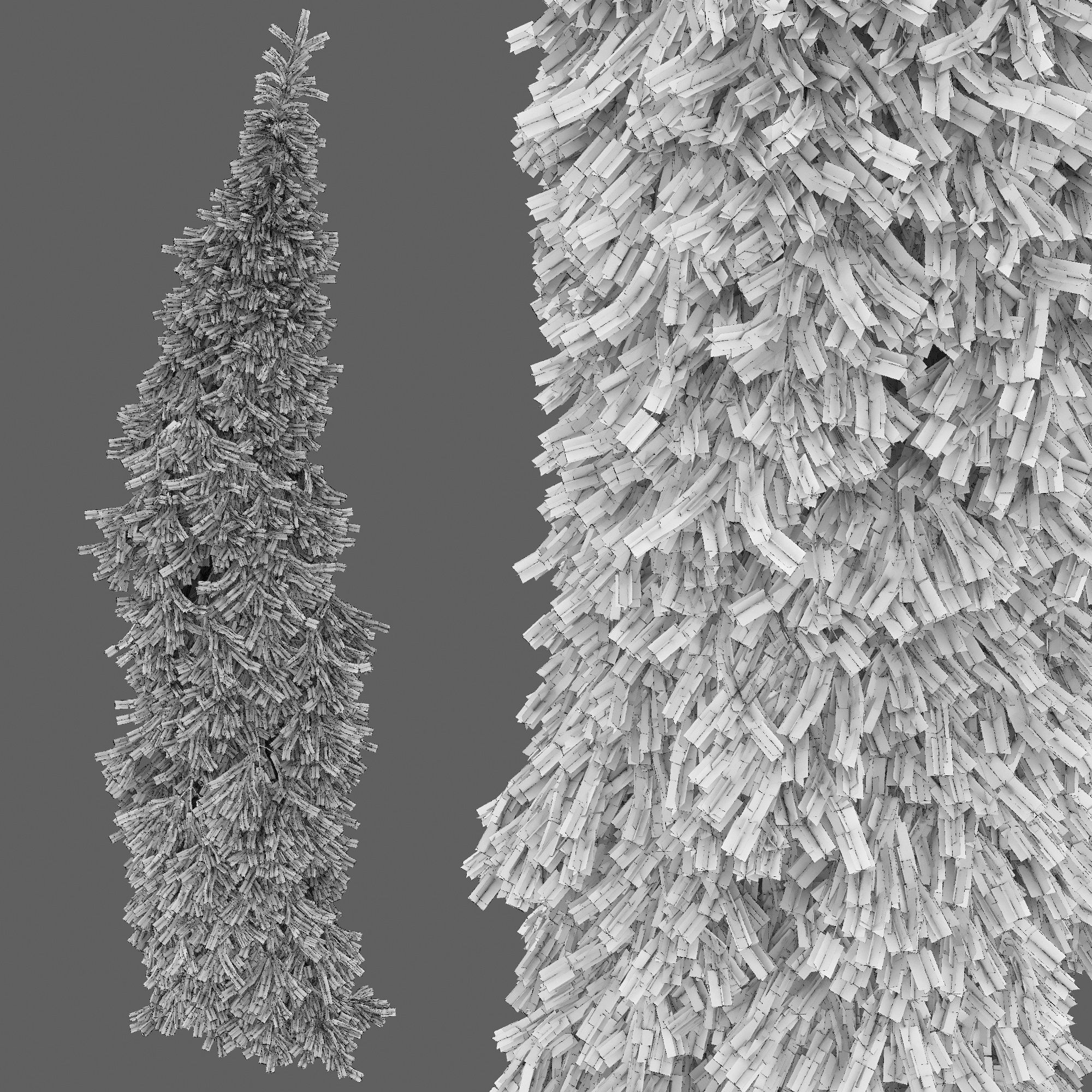 Picea Omorika Bruns 01 3D model_3