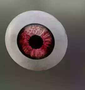 eye human Low-poly 3D model