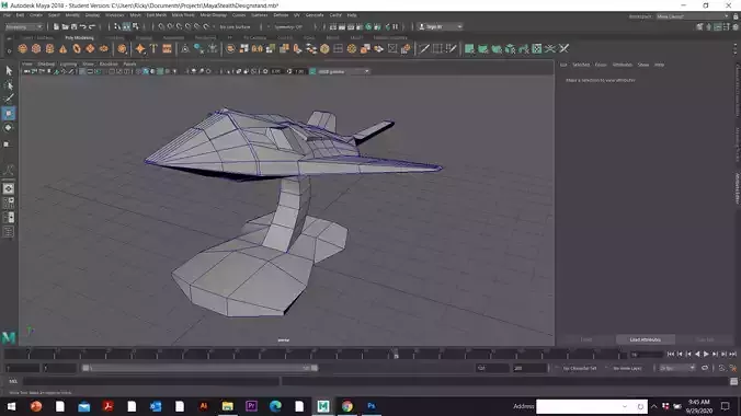 Nighthawk Stealth Aircraft