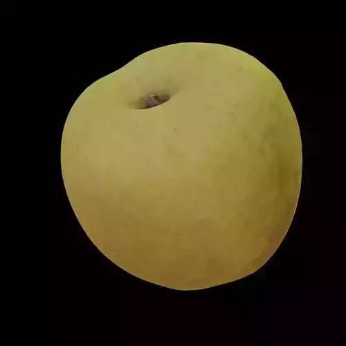 Photo scanned Apple 3D model 2