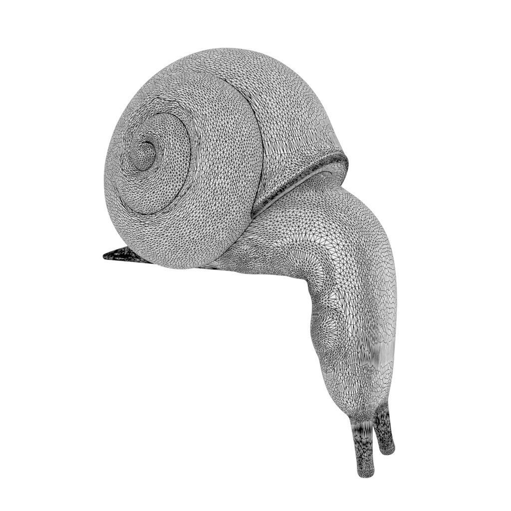 snail 3D print model_4