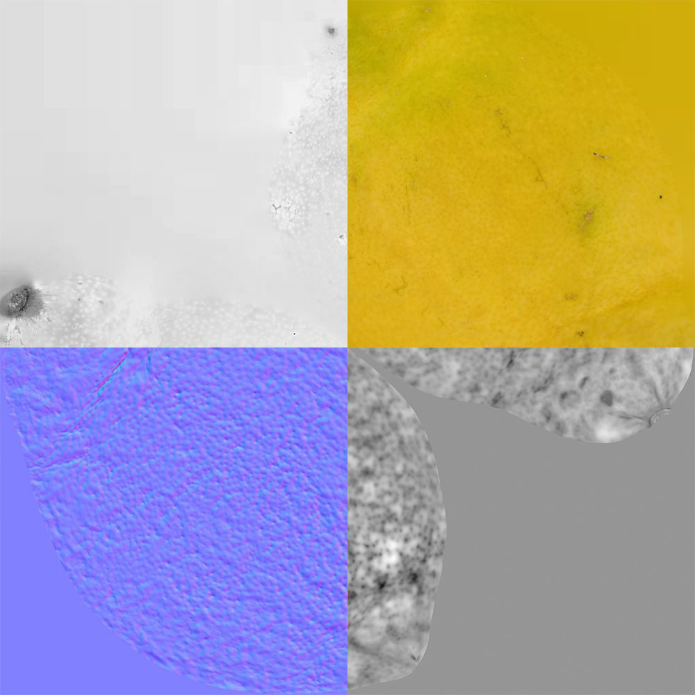Lemon 3D model_10