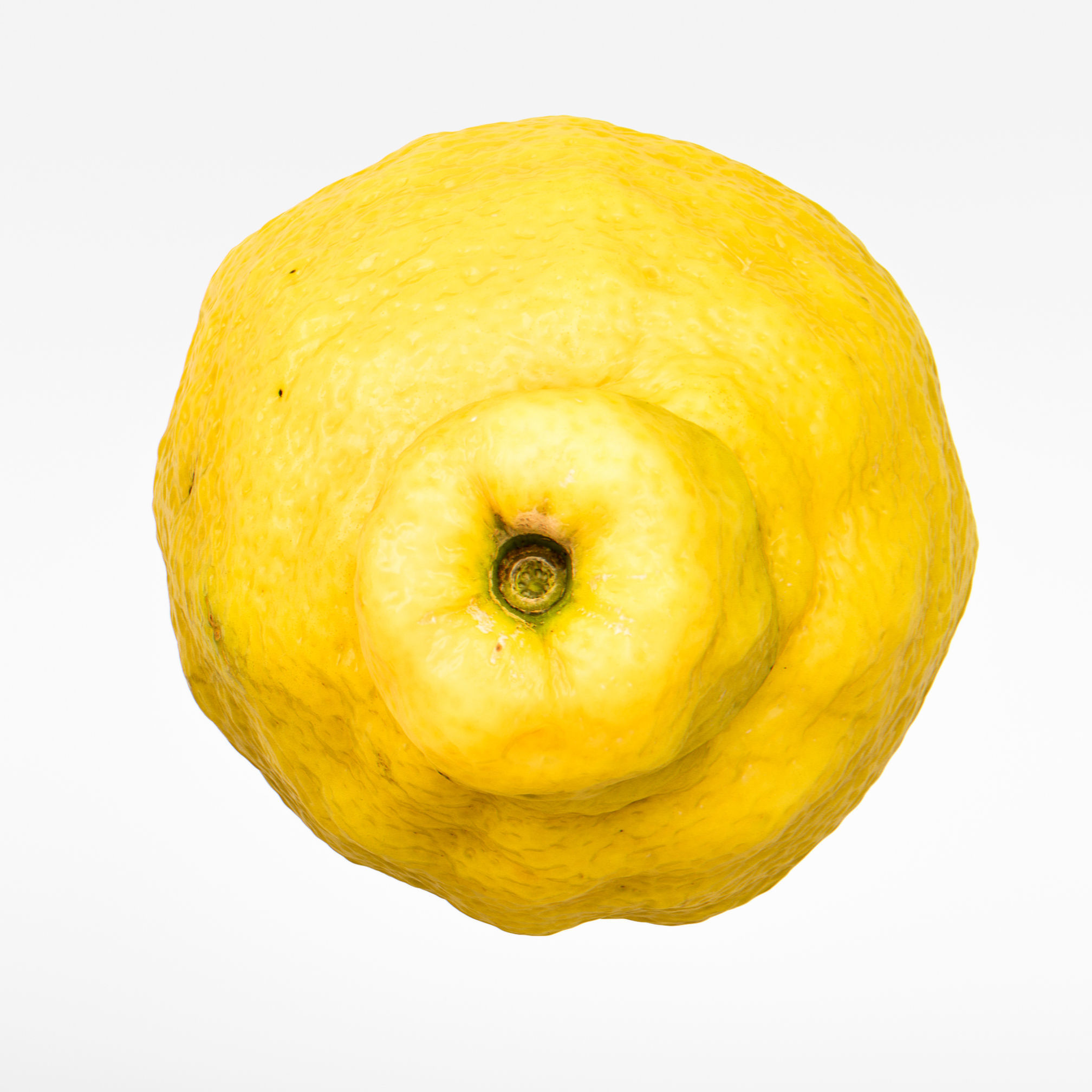 Lemon 3D model_7