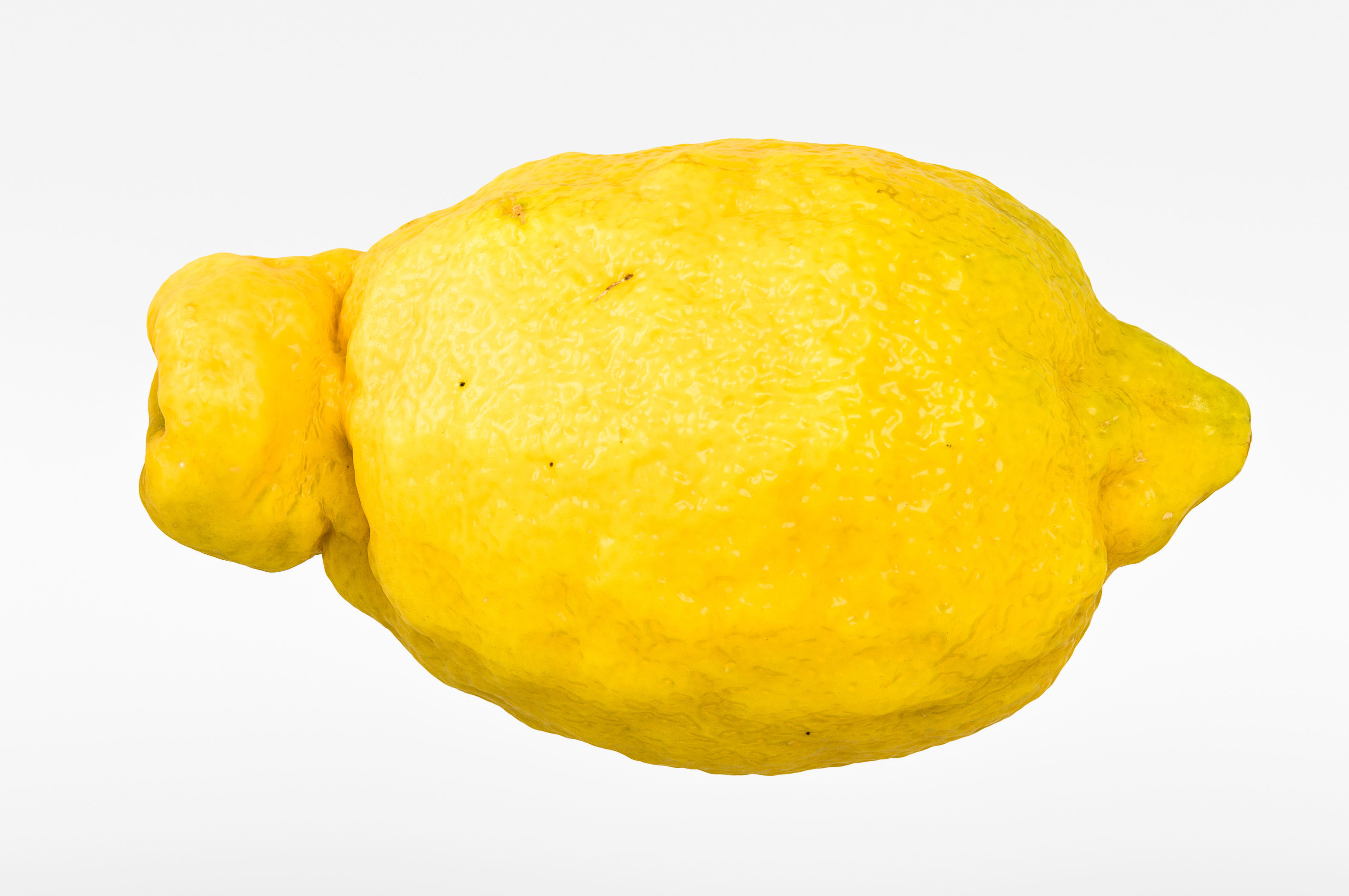 Lemon 3D model_6