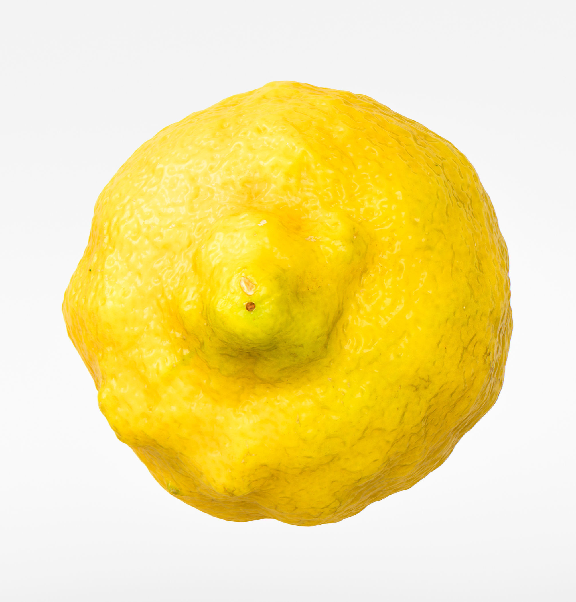 Lemon 3D model_5