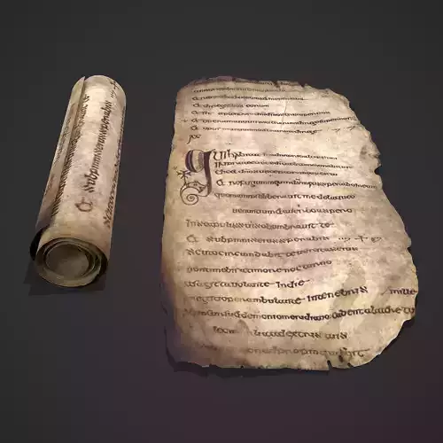 Scroll and Page of The Psalter of St Columbia  3D Model Collection