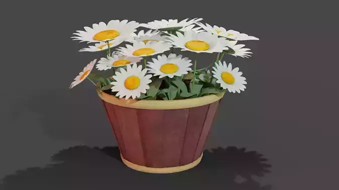 Daisy Planter