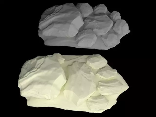 Stone Tiger Paw 3D print model