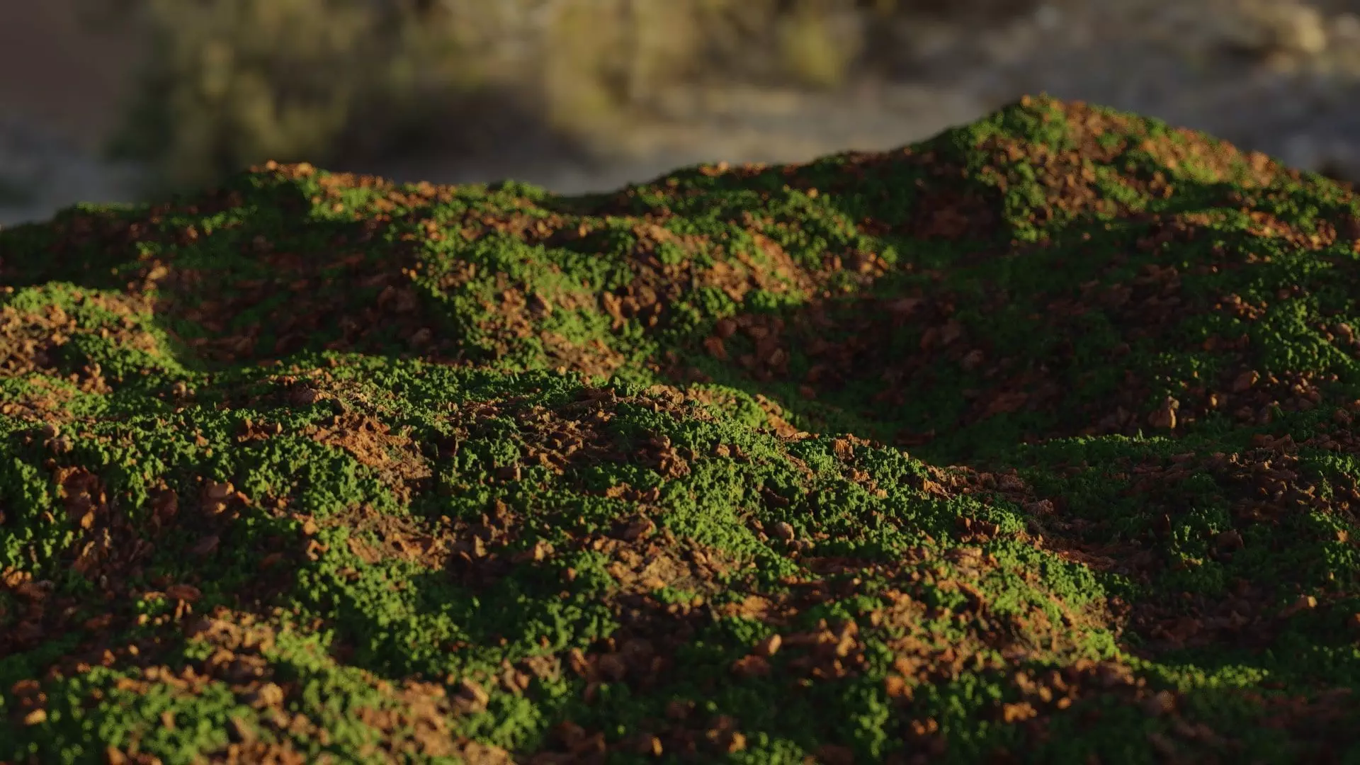 Realistic Mossy ground Free 3D model_0
