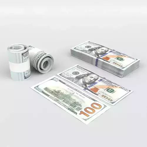 100 US Dollars  3D model