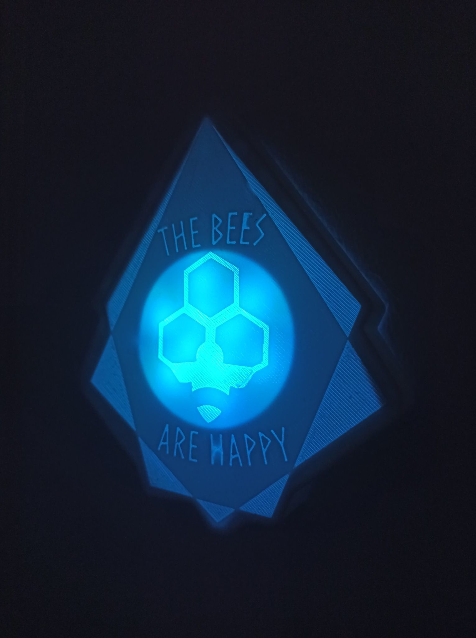 The bees are happy wall decoration 3D print model_2