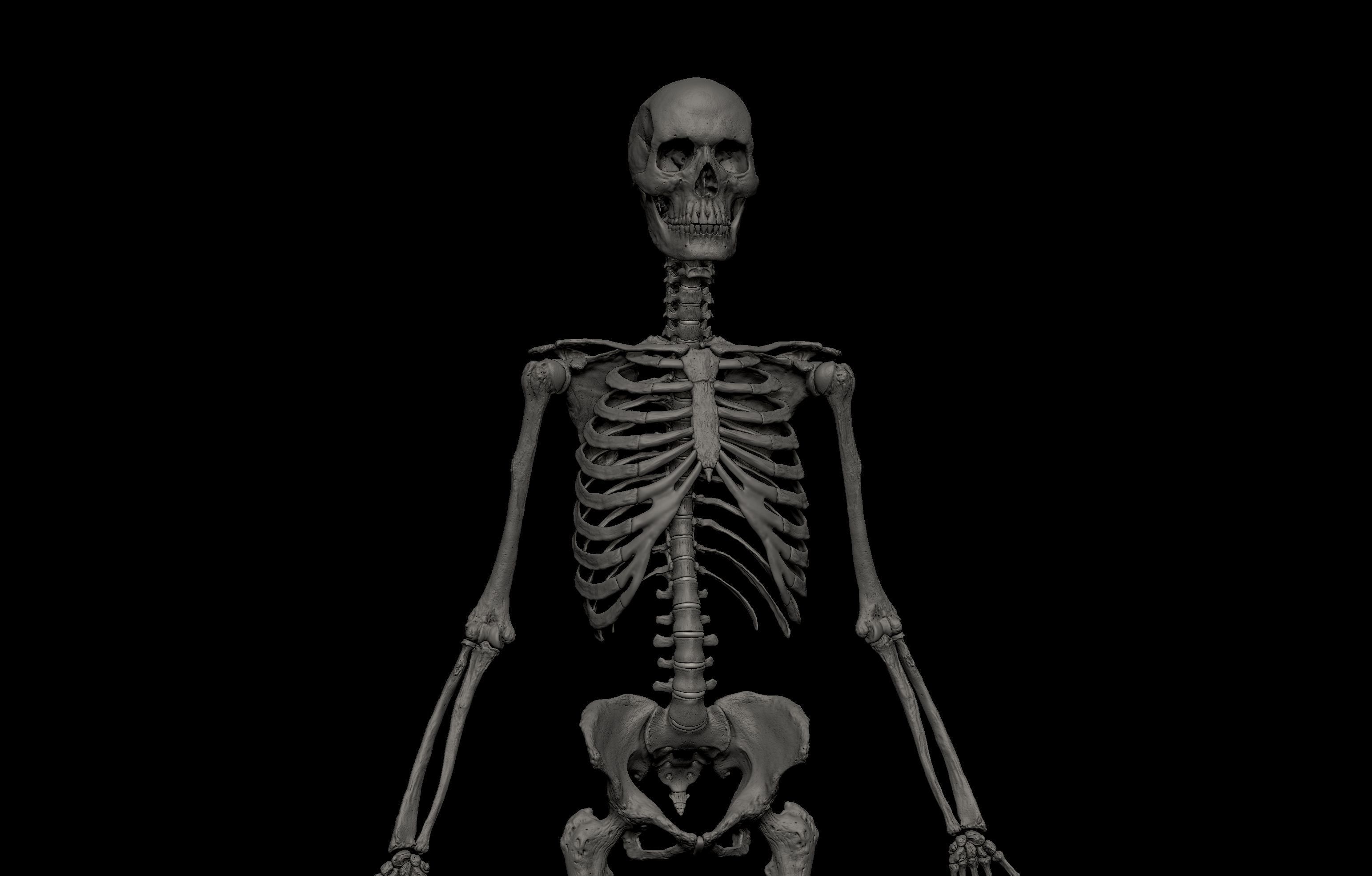 HD Male Female Complete Anatomy Collection 3D Models _30