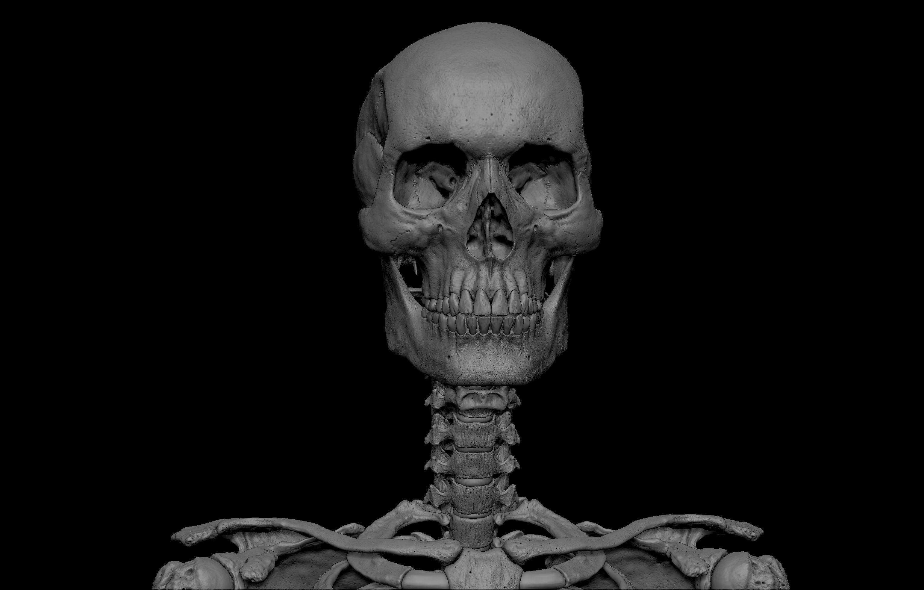 HD Male Female Complete Anatomy Collection 3D Models _17