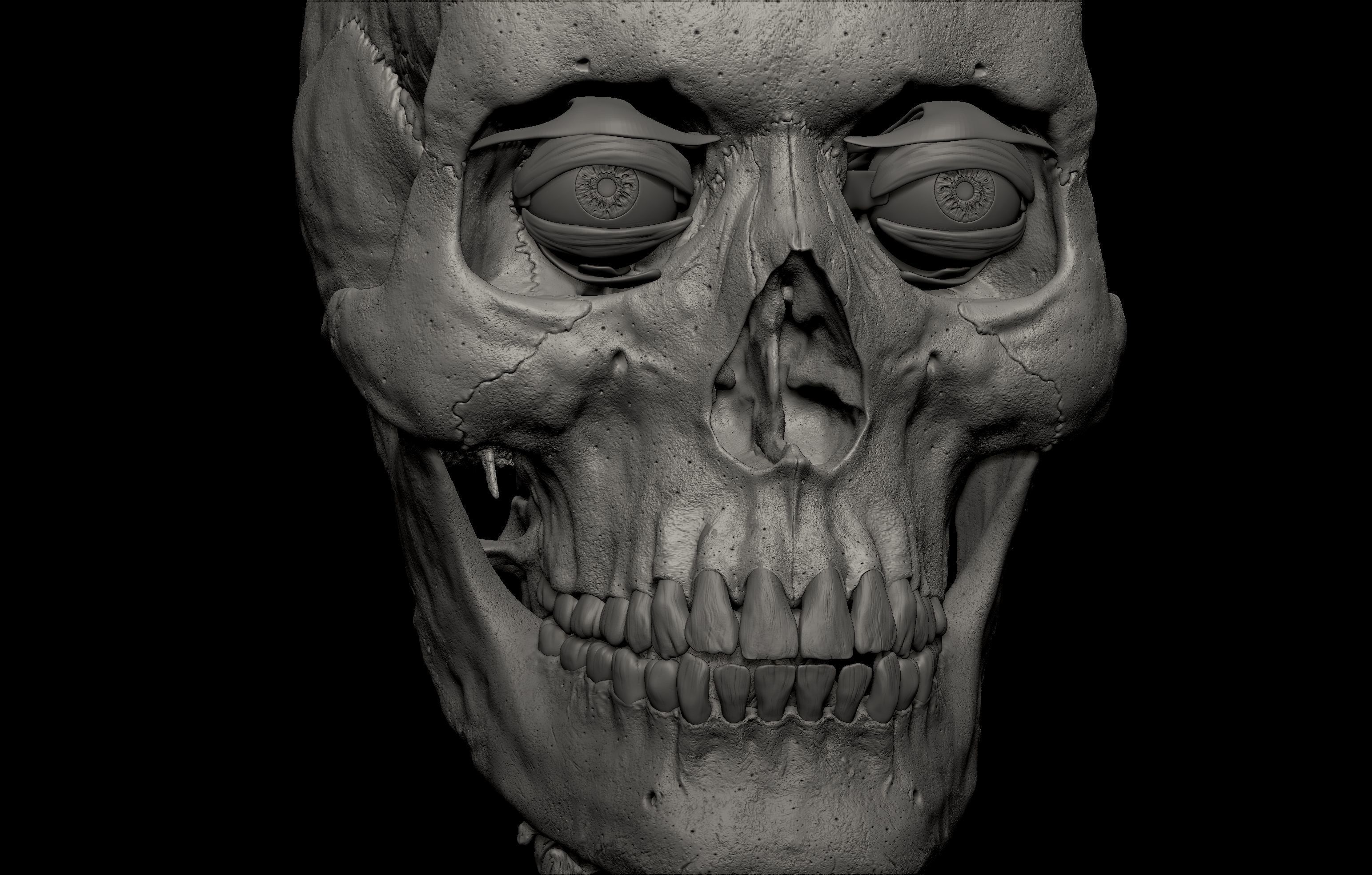 HD Male Female Complete Anatomy Collection 3D Models _40