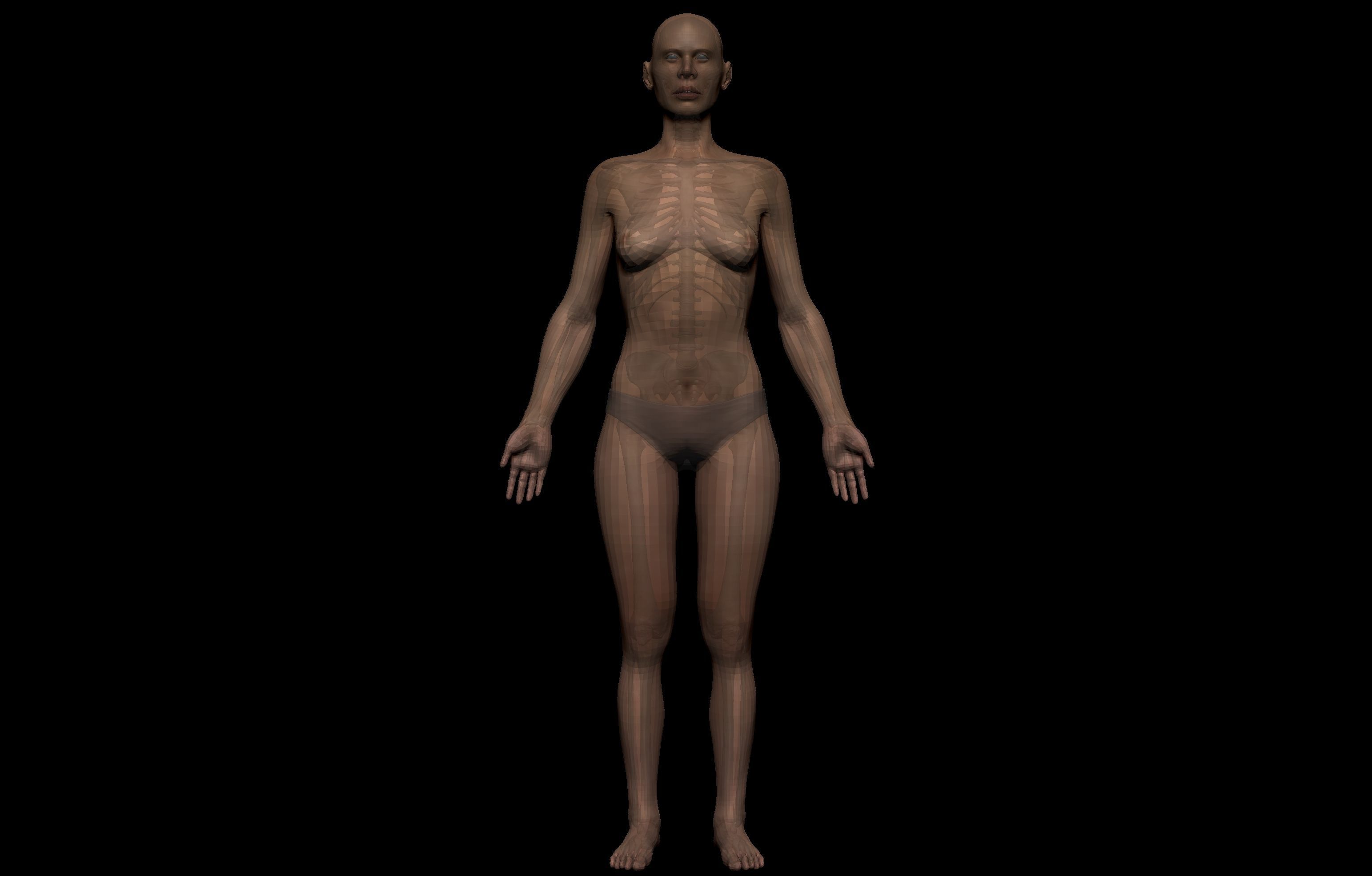 Realistic Female Basemesh Collection Low-poly 3D model_12