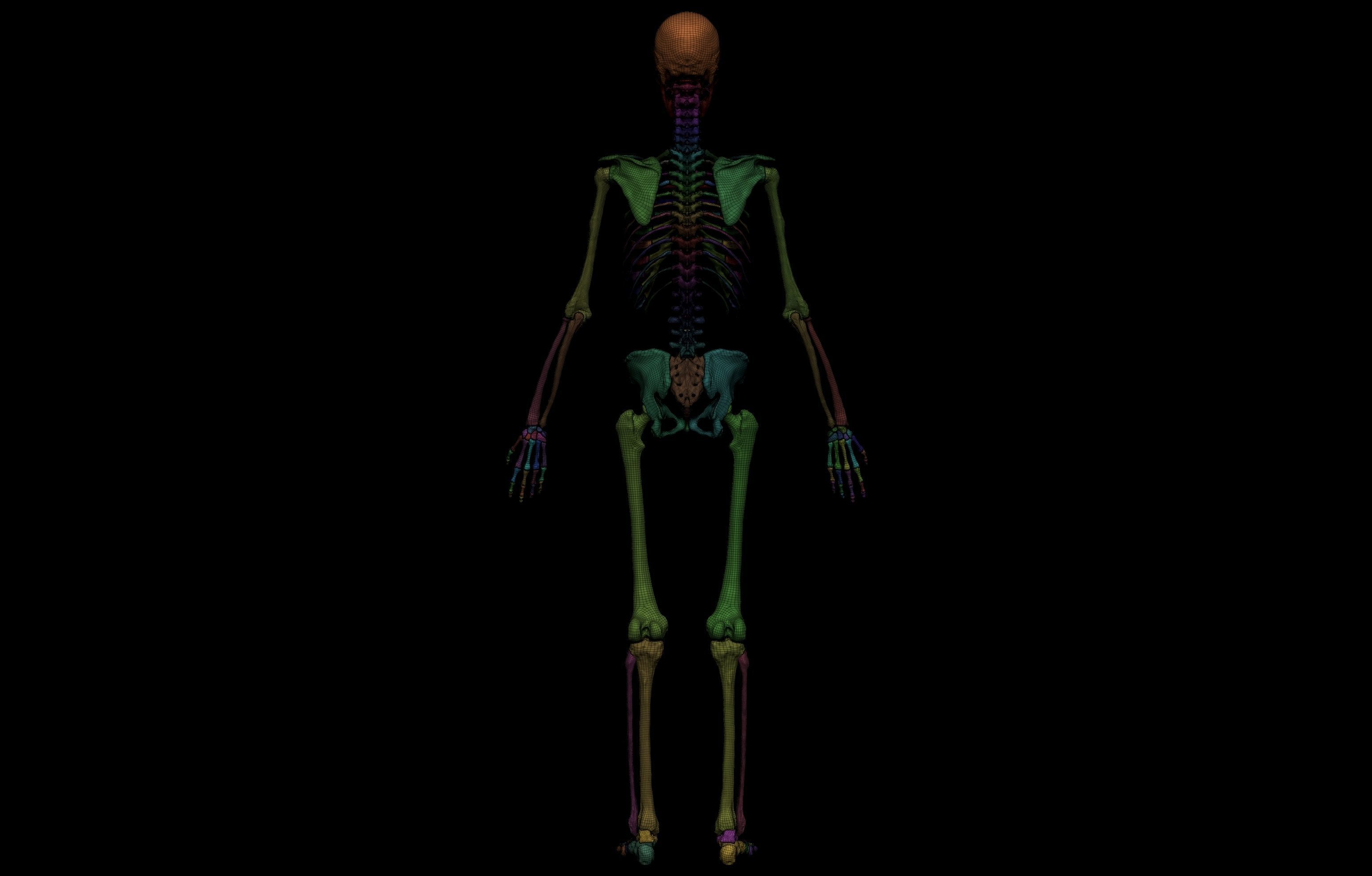 Ultimate Human Basemesh Collection _42