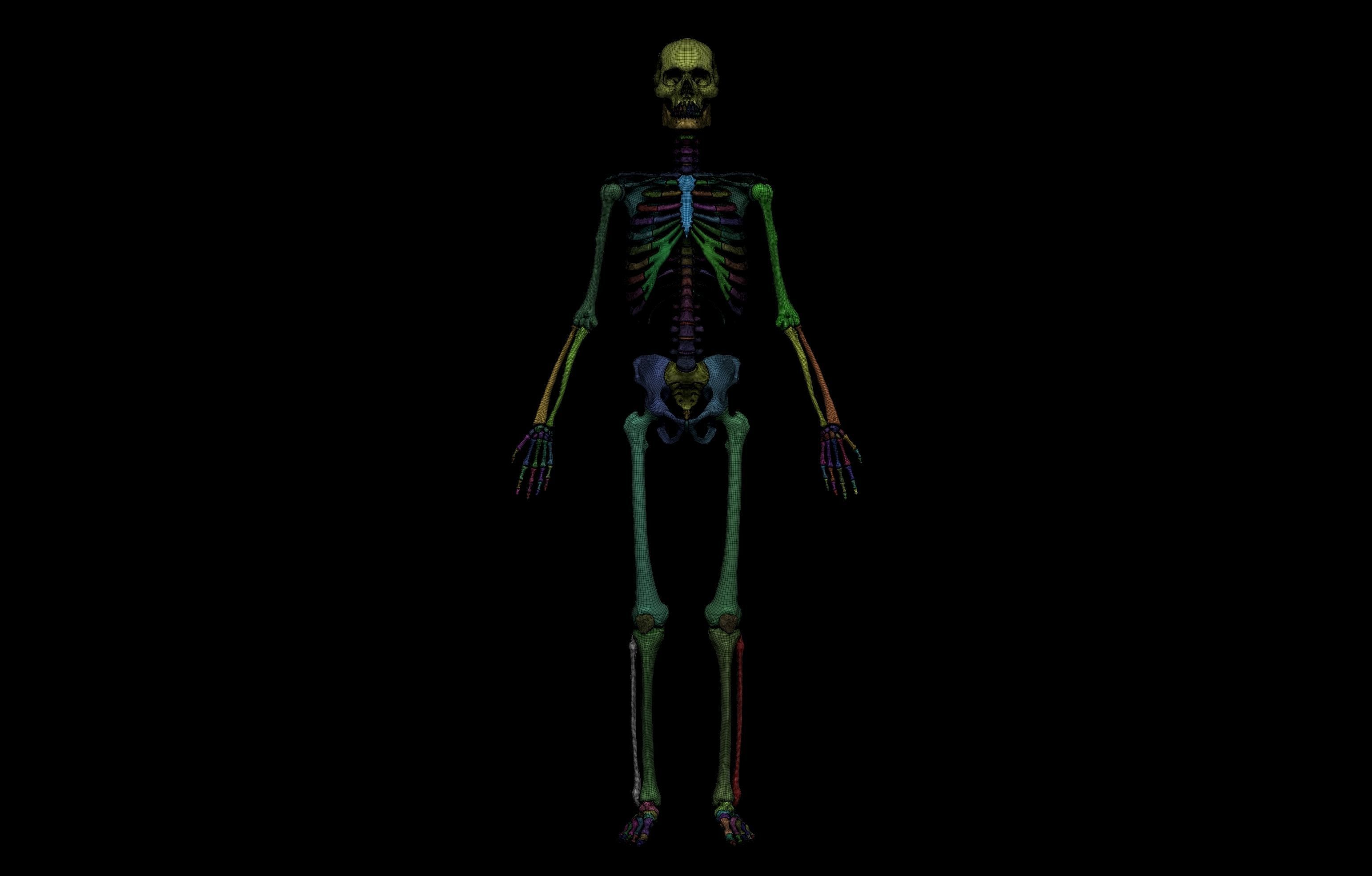 Ultimate Human Basemesh Collection _14