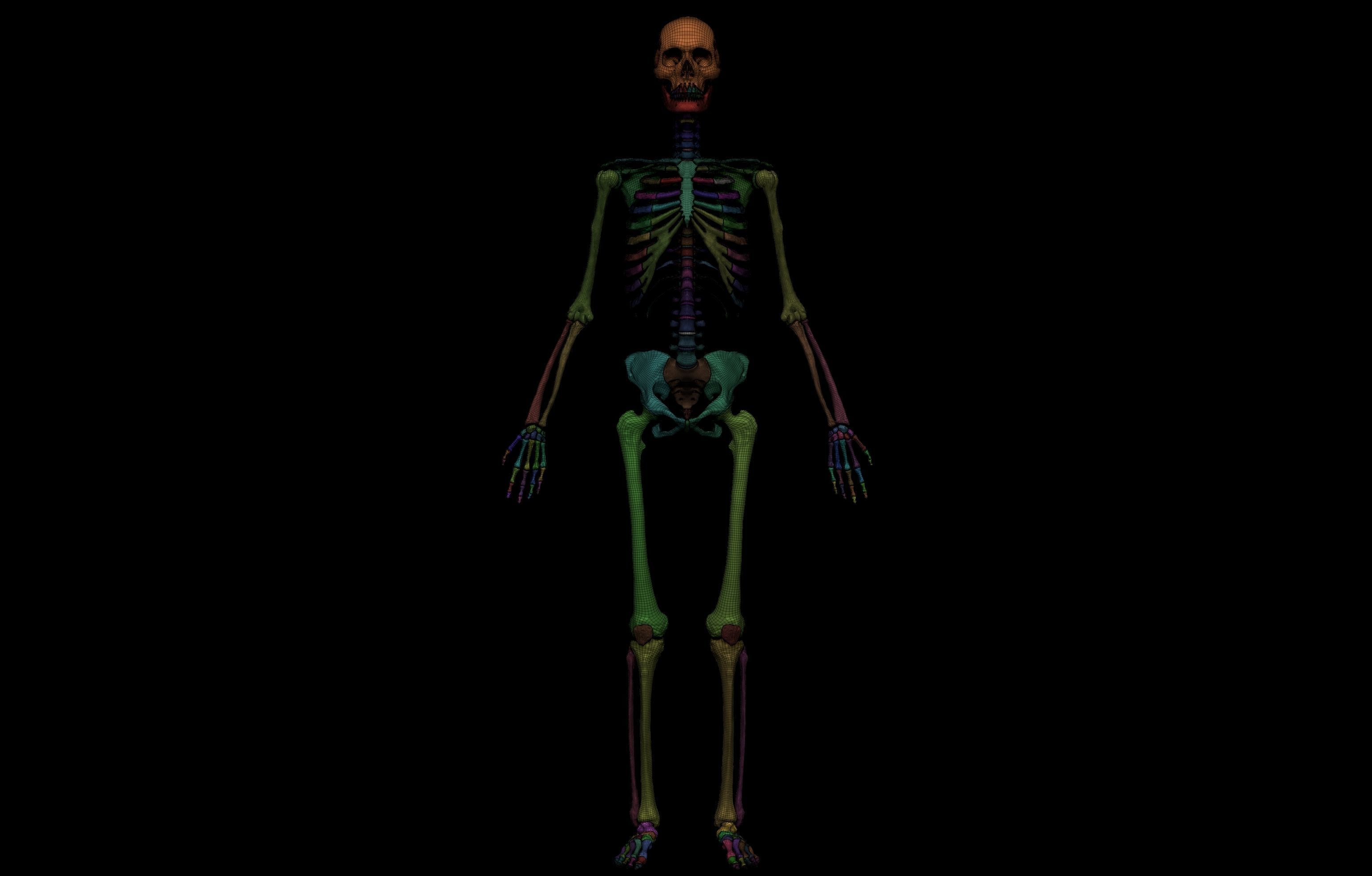 Ultimate Human Basemesh Collection _40