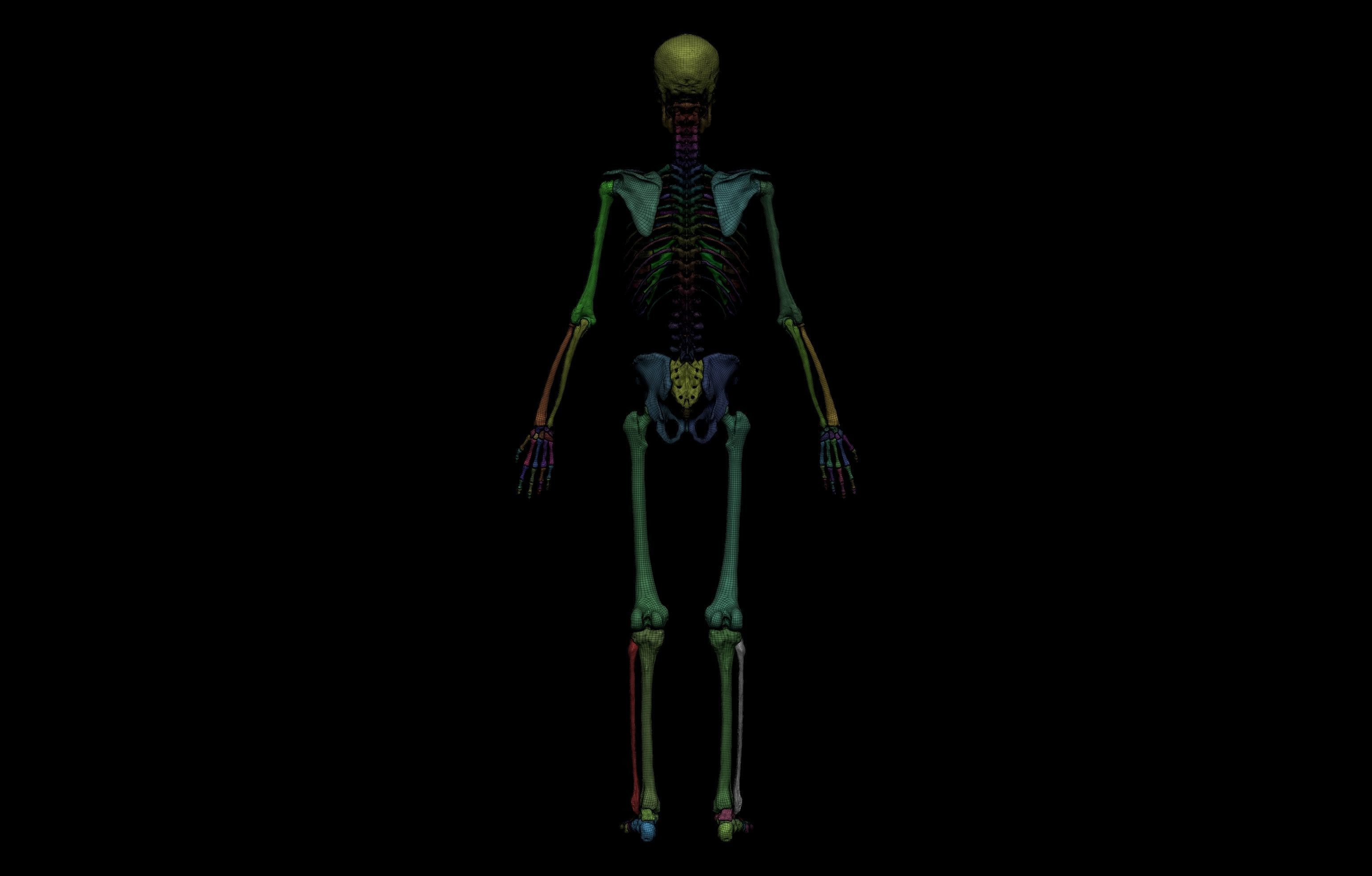 Ultimate Human Basemesh Collection _32