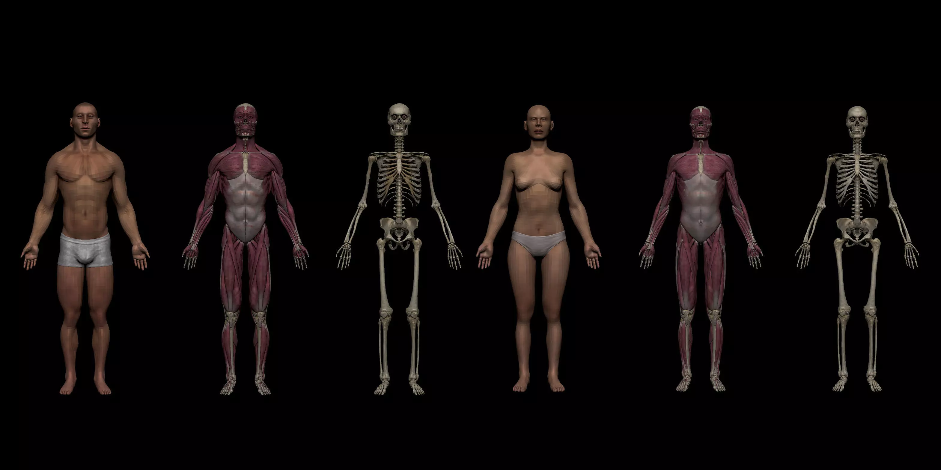 Ultimate Human Basemesh Collection _0