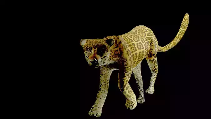 leopard Low-poly 3D model