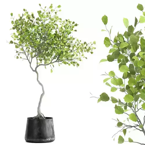 Decorative tree in a flowerpot for the interior 956