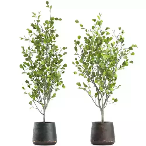 Decorative tree in a flowerpot for the interior 957