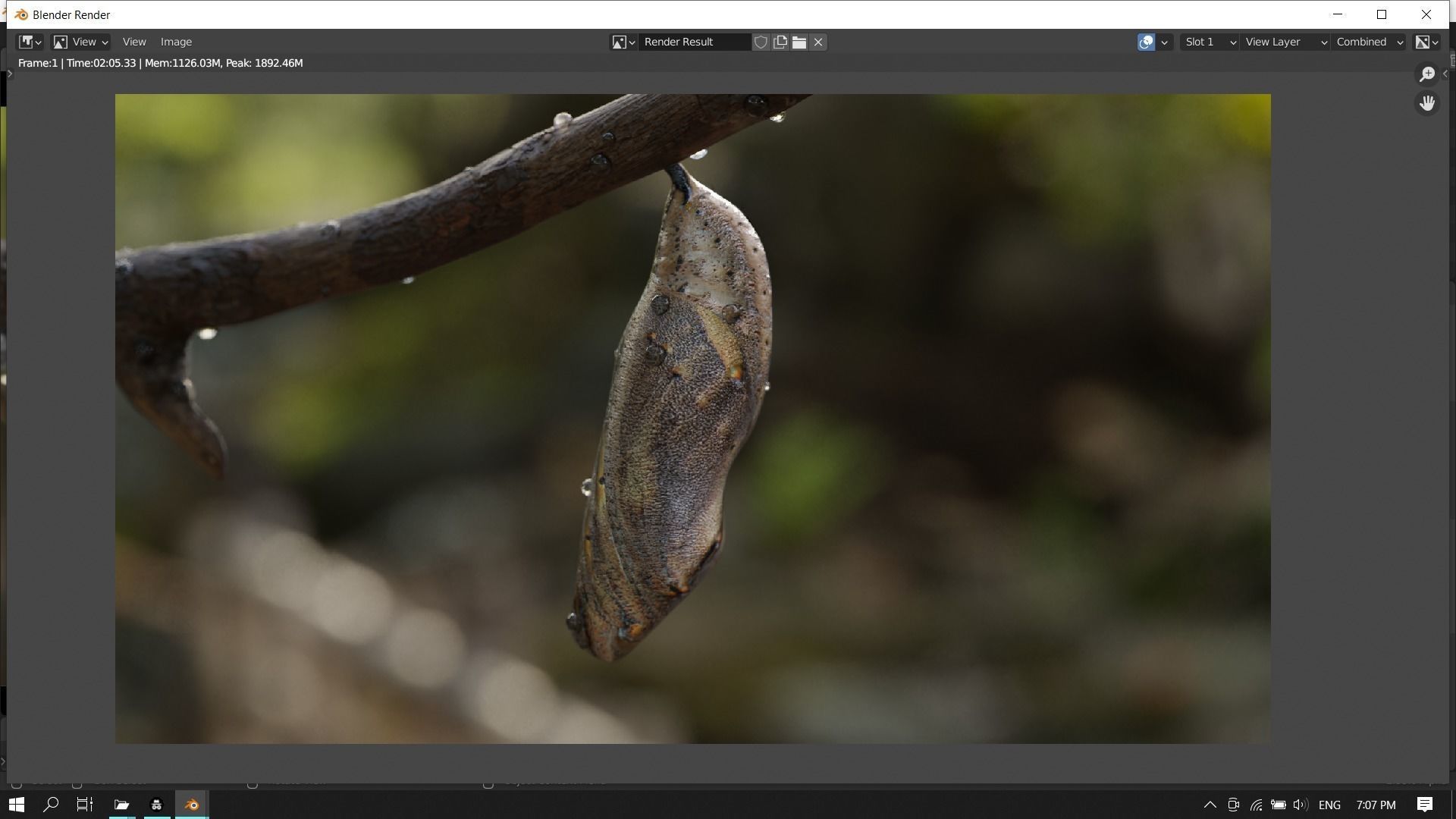 Butterfly cocoon Low-poly 3D model_17