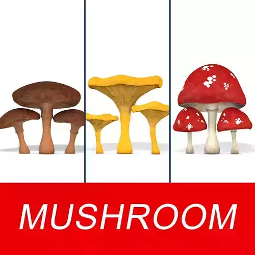 Mushroom Set three mushrooms