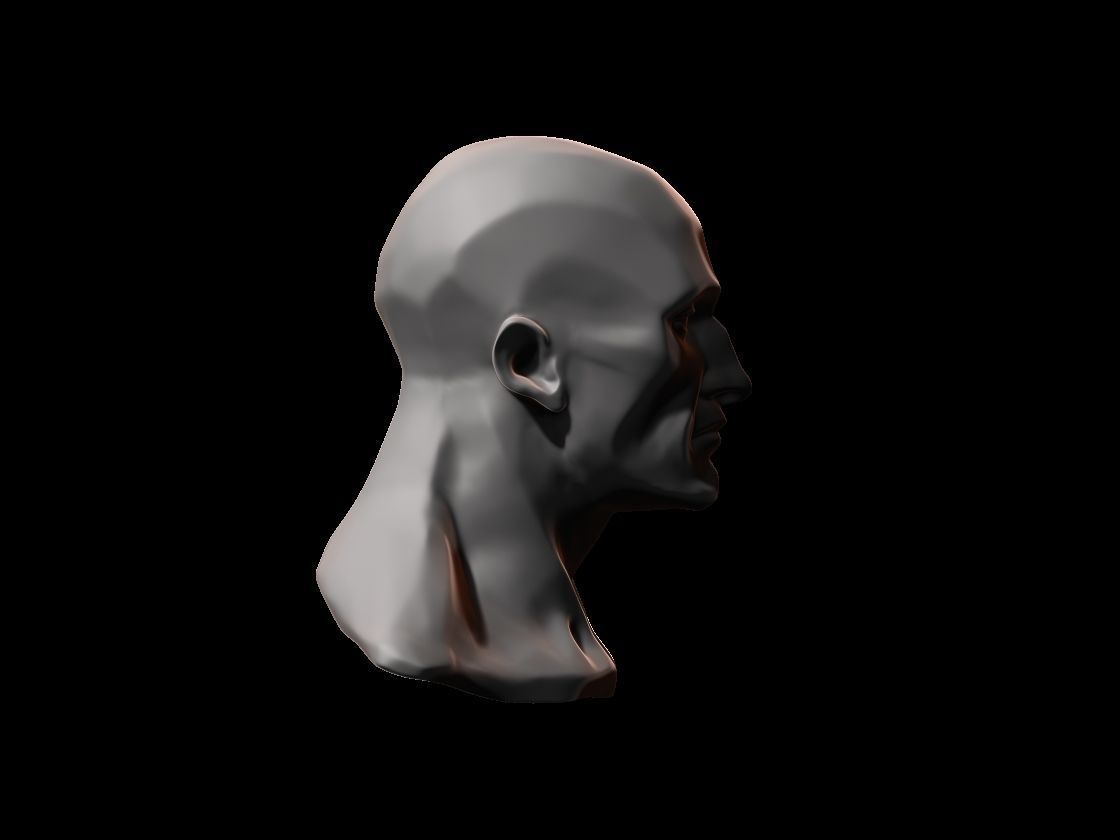 HUMAN ANATOMY - HEAD STUDY FOR REFERENCE 3D print model_2