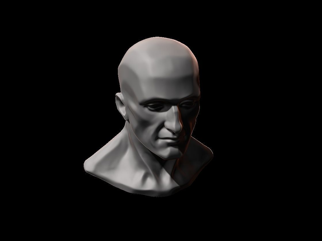 HUMAN ANATOMY - HEAD STUDY FOR REFERENCE 3D print model_3