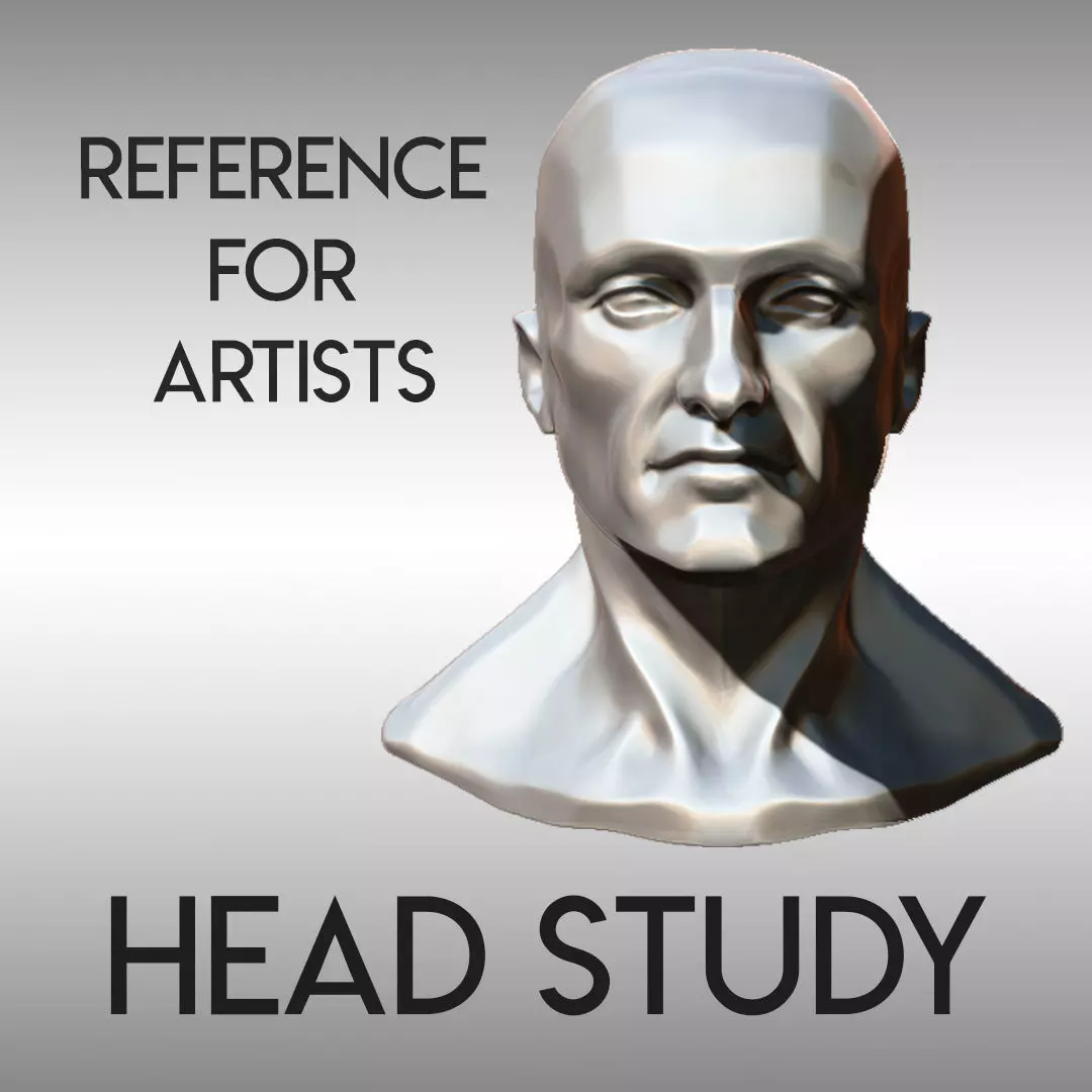 HUMAN ANATOMY - HEAD STUDY FOR REFERENCE 3D print model_0