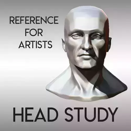 HUMAN ANATOMY - HEAD STUDY FOR REFERENCE 3D print model