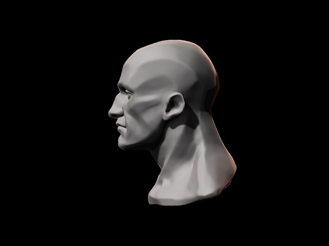 HUMAN ANATOMY - HEAD STUDY FOR REFERENCE 3D print model_1