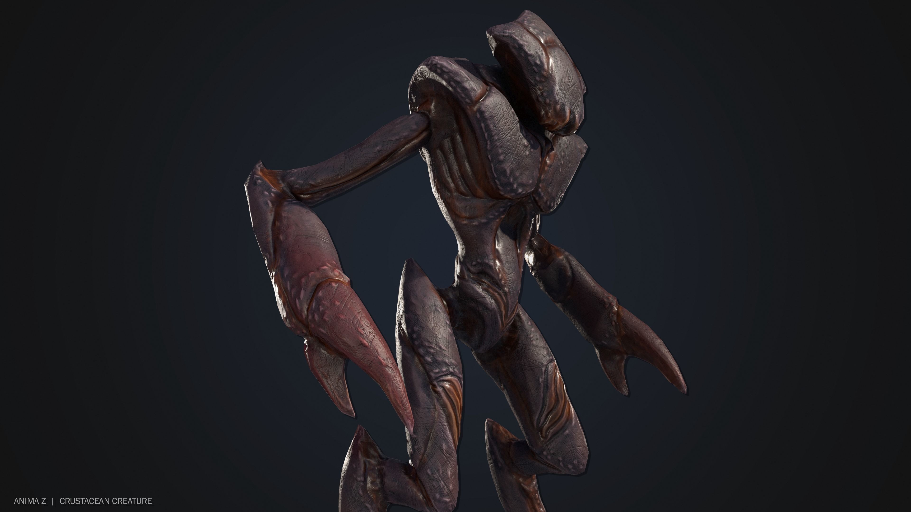 Crustacean creature Low-poly 3D model_9