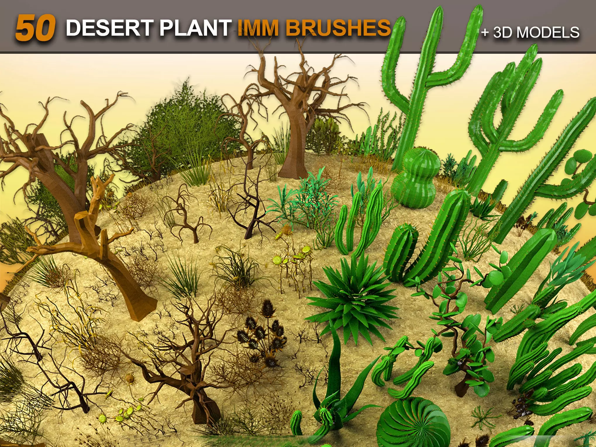 50 Desert Plant IMM Brushes and 3D Models 3D model