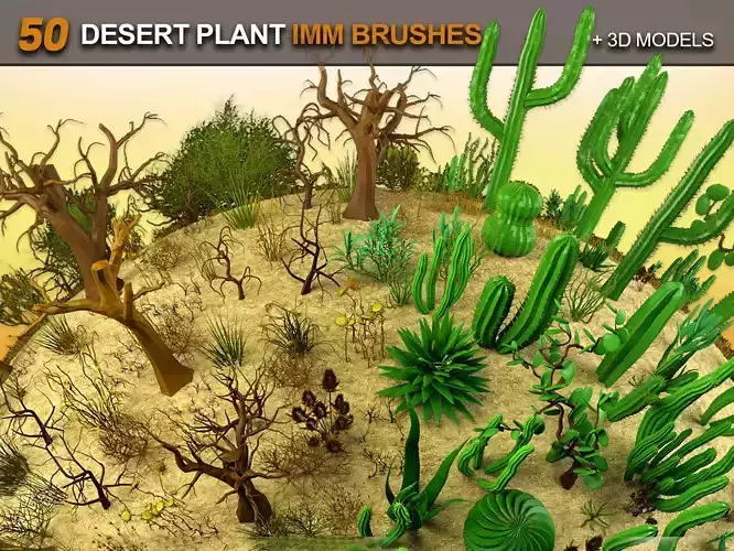 50 Desert Plant IMM Brushes and 3D Models 3D model