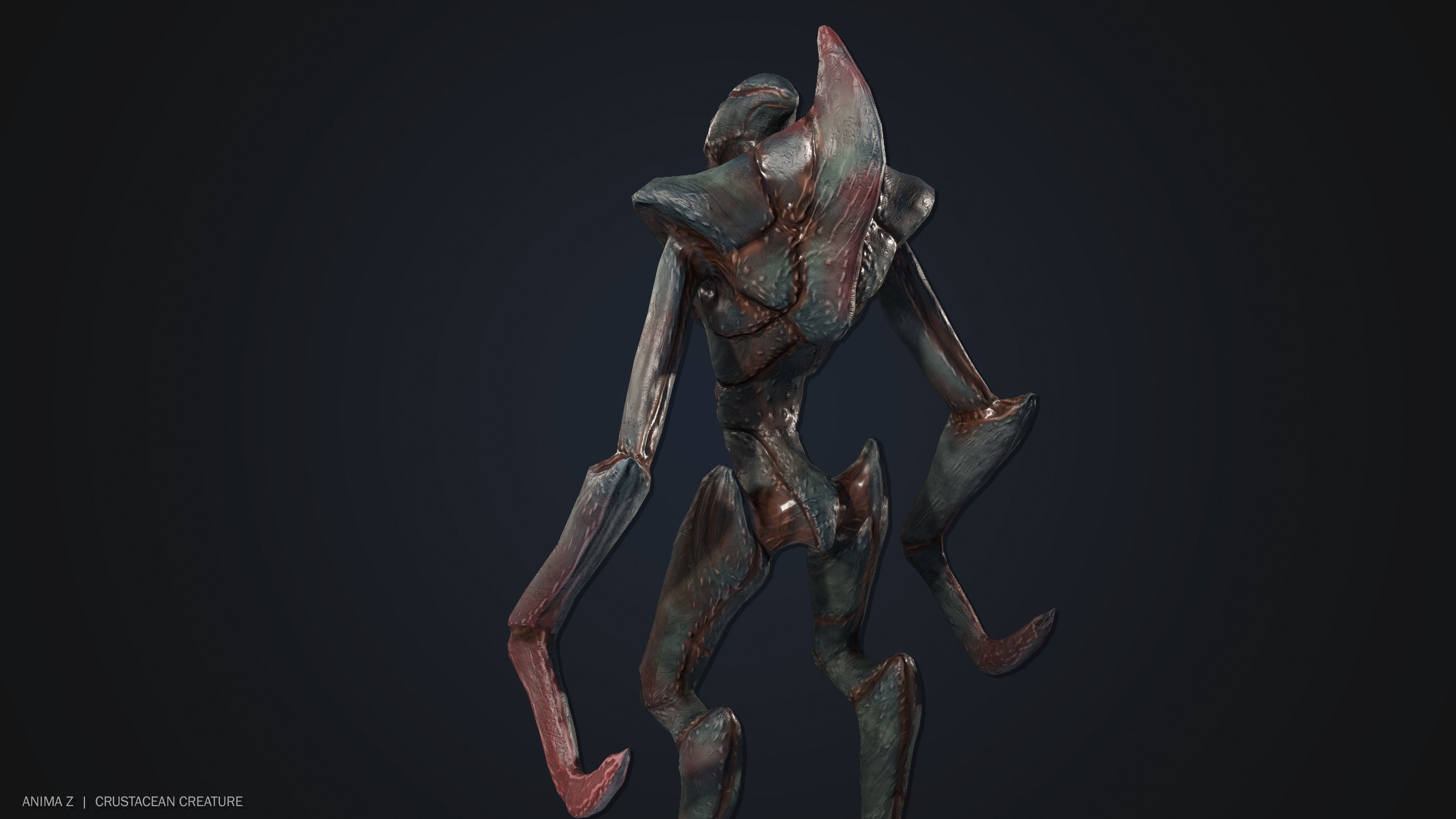 Crustacean creature Low-poly 3D model_8