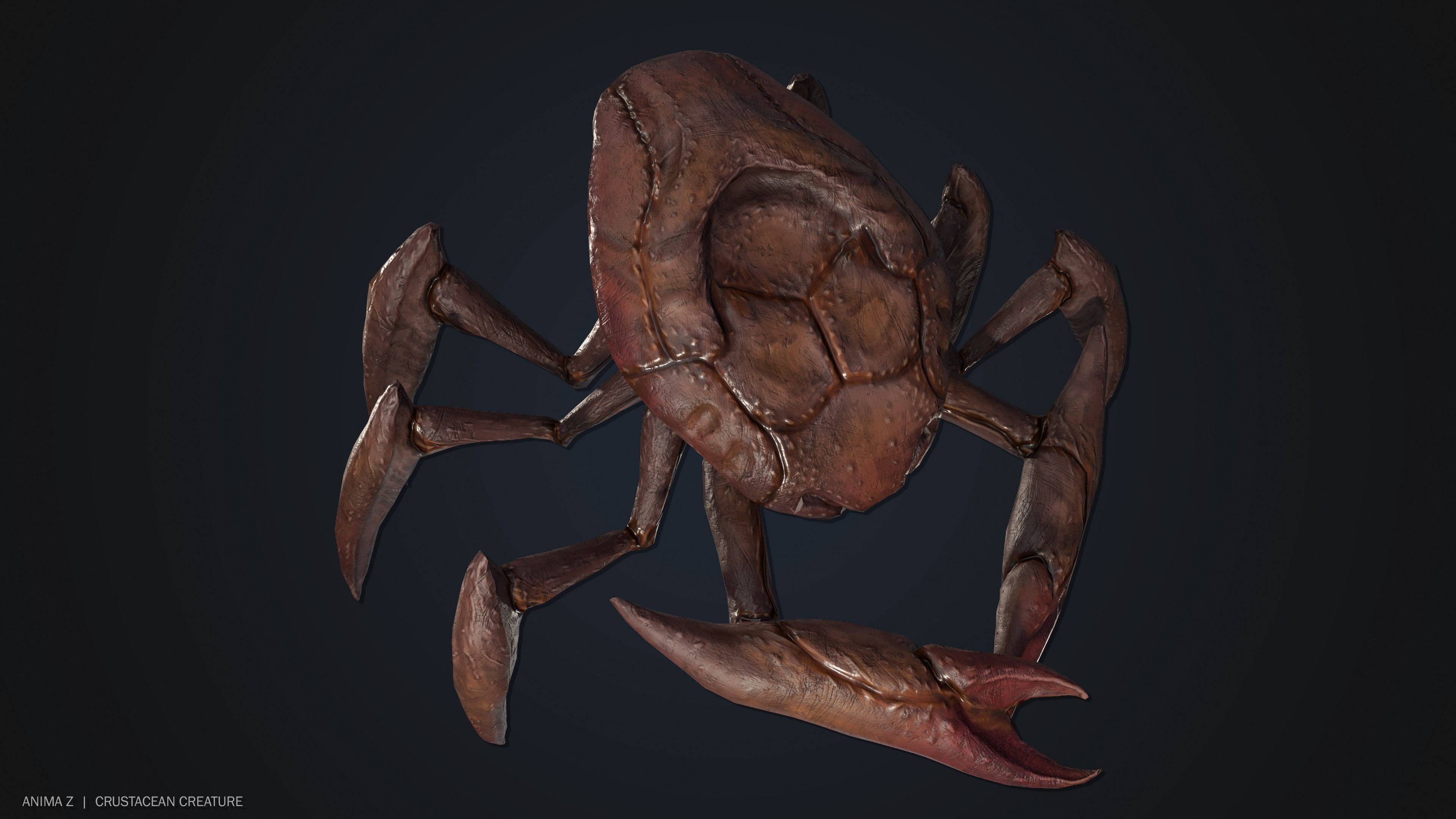 Crustacean creature Low-poly 3D model_7