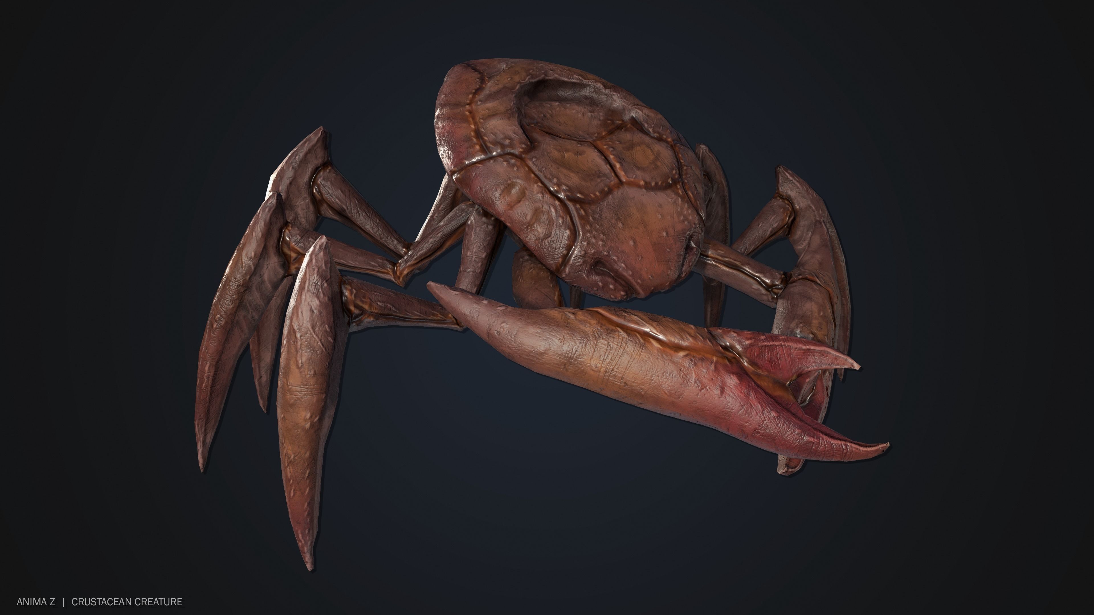 Crustacean creature Low-poly 3D model_8