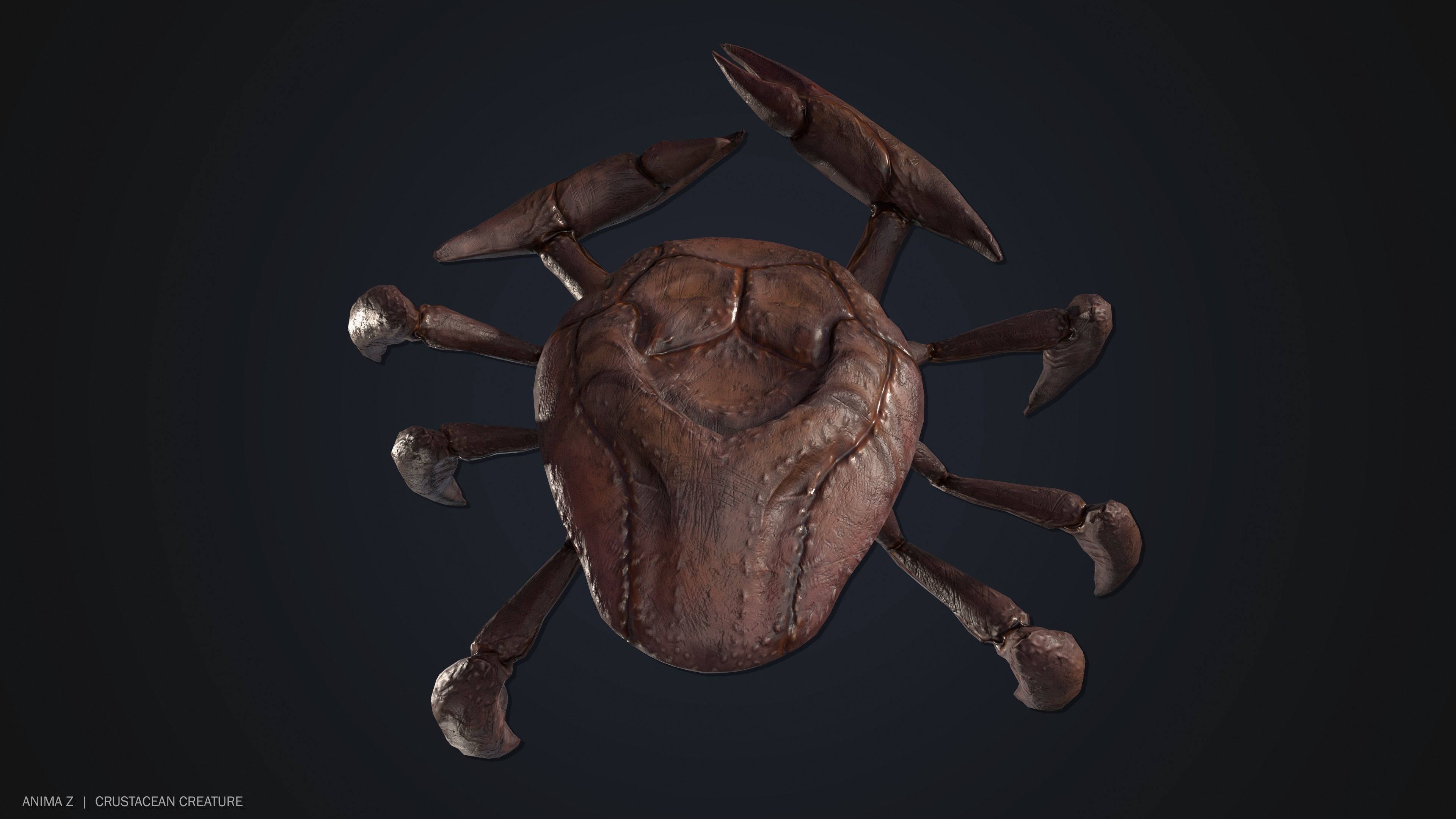 Crustacean creature Low-poly 3D model_6