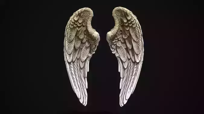 Angel Wings